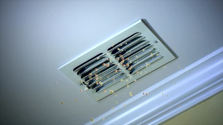 Best Air Vent Cleaning Services  in Loyal, WI