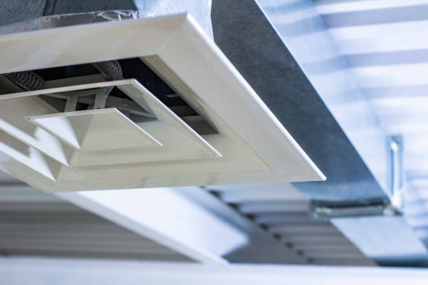 Best Air Duct Mold Removal  in Loyal, WI