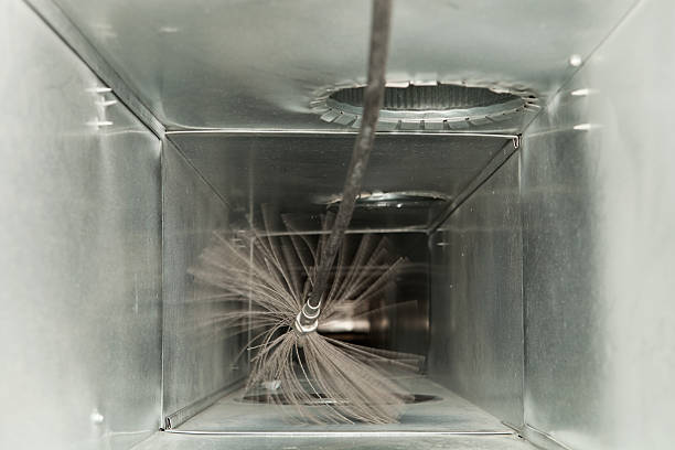 Best Professional Duct Cleaning Services  in Loyal, WI